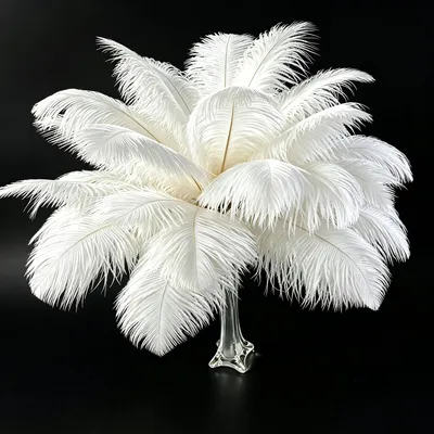 Productafbeelding van Decoratieve Natuurlijke Struisvogelveren voor Creatieve Projecten