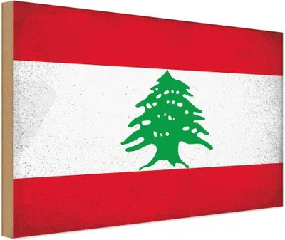 Produktbild von vianmo Holzschild 20x30 cm Libanon Lebanon Vintage Flagge Fahne Wappen