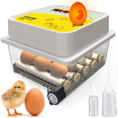 Brutkasten für 12 Eier, automatischer Eierdreher, digitales Display