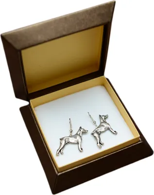Immagine prodotto di Yorkshire Terrier - Orecchini pendenti con cani, adorabili gioielli per mamme di cani, regalo per ragazze del marchio Art-Dog