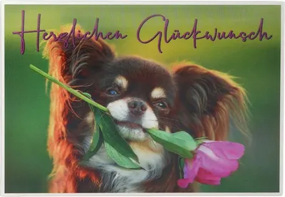 Produktbild von Depesche Klappkarte 3D ART, 12,1x17,5cm, Geburtstagskarte Grußkarte 60