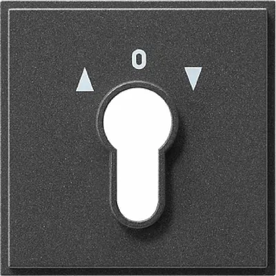 Zdjęcie produktu dla GIRA 066467 Akcesoria do przełączników elektrycznych (066467)