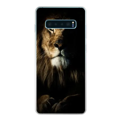 Produktbild von MuchoWow® Handyhülle Schutzhülle Hülle für Samsung Galaxy S10 Plus Löwe - Licht - Porträt Silikon Softcase Handy Hülle - Schutzhülle