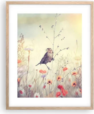 Produktbild von Gerahmtes Poster - Rahmen in heller Eiche - Vogel Wildschwein Wiese - 40x50 cm - Wand Bild - Wanddeko - Wandbilder - Wandposter - Bilderrahmen - Bilder - Kunstdruck - Wandbild - P2NPA40x50-4279