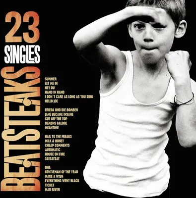 Immagine prodotto di Beatsteaks-23 Singoli