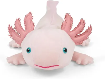 Image de Peluche Axolotl