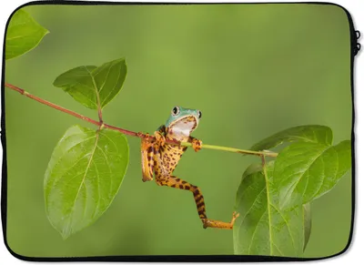 Produktbild von MuchoWow® Laptop Hülle 14 ZollFrosch - Zweig - Grün Laptoptasche - Laptoptasche - Stoßsicher - Schutzhaube