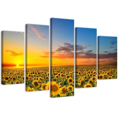 Produktbild von 5-teiliges leinwandbild sonnenblumen auf einer wiese 200x100 cm Feeby gelb wandbild bereit zum aufhängen