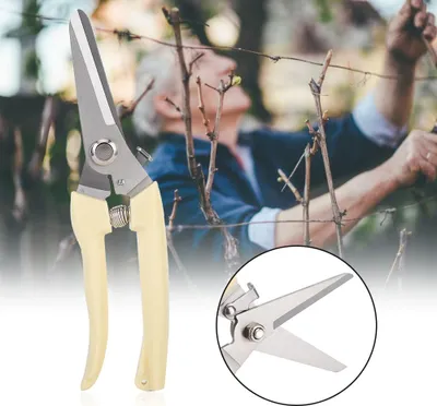 Produktbild von Gartenschere aus legiertem Stahl SK-5, Handschere, Gartenschere, Schneidewerkzeug für Pflanzen (gerader Kopf)