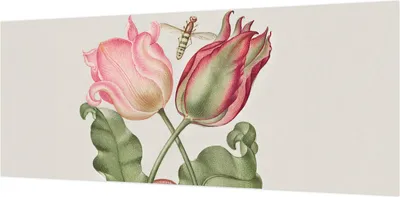 Produktbild von Wandtapete - Dekorative Tapete für Wohnzimmer- Tapetenfolie für Wanddekoration - 208x146 cm - Tulpenschönheit