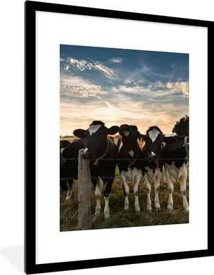 Produktbild von MuchoWow® Gerahmtes Poster Tiere - Kuh 60x80 cm - Poster mit Schwarzem Bilderrahmen Wandposter Rahmen Foto Bilder - Wohnzimmer - Dekorationen - Prämie