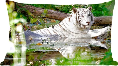 Produktbild von MuchoWow® Zierkissen Sofakissen Wohnzimmer Dekokissen 50x30 cm Weißer Tiger im Wasser - Wohnzimmerdekoration - Polster mit Photo