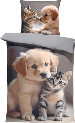A close-up image of a duvet cover and pillowcase featuring a golden retriever puppy and a tabby kitten.
