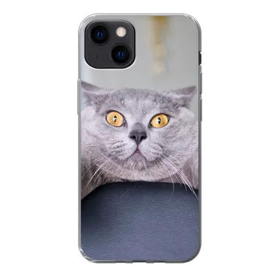 Produktbild von MuchoWow® Handyhülle Schutzhülle Hülle für iPhone 13 Katze - Angst - Stuhl Silikon Softcase Handy Hülle - Karteninhaber