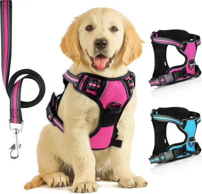 Produktbild von Famanu Hundegeschirr mit Hundeleine, reflektierendes Hundegeschirr für kleine Hunde, grau, M
