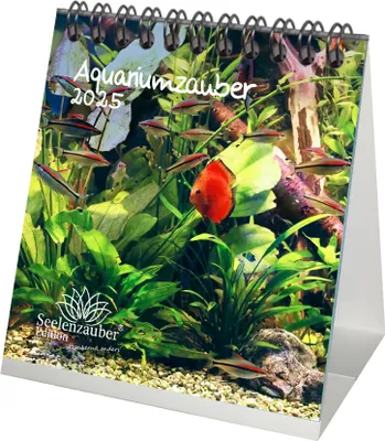 Produktbild von Aquariumzauber Kalender für 2025 Format 10cm x 10cm Tiere im Aquarium und Unterwasser - Seelenzauber