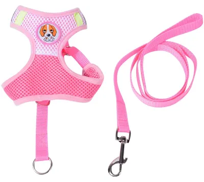 Produktbild von Hundezubehör für kleine und mittelgroße Hunde – Rosa mit Leine für Spaziergänge