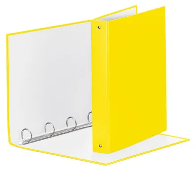 Image de Esselte 395792930 Boîte à archives Plastique Jaune