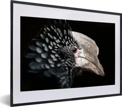 Produktbild von MuchoWow® MuchoWow® Gerahmtes Poster Vogel - Schnabel - Federn 60x40 cm - Poster mit zchwarzem Bilderrahmen - Schlafzimmer - Plakat in Rahmen - Drucken