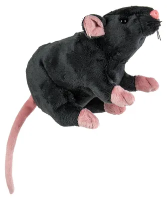 Produktbild von Graue Plüsch Ratte 19cm als Kuscheltier, Deko oder Kostümzubehör