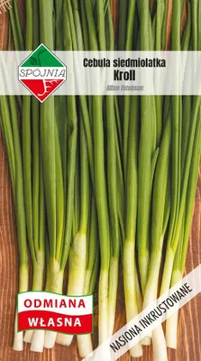 Zdjęcie produktu dla NASIONA Cebula Siedmiolatka Kroll 2g SPÓJNIA Wieloletnia 324853