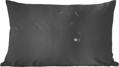 Produktbild von MuchoWow® Zierkissen Sofakissen Wohnzimmer Dekokissen 60x40 cm Pferd - Tiere - Schwarz - Porträt - Kopfkissen - Polster mit Foto