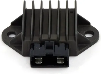 Immagine prodotto di Regolatore di tensione SGR monofase 12V 4 faston
