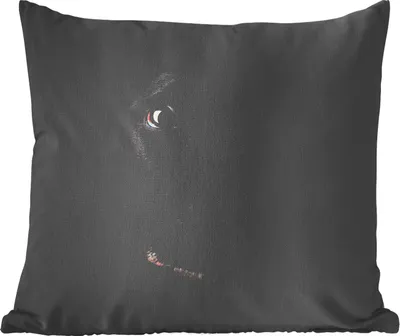Produktbild von MuchoWow® Zierkissen Sofakissen Wohnzimmer Dekokissen 60x60 cm Ein schwarzer Labrador Retriever auf schwarzem Hintergrund - Sitzfläche - Foto Polster