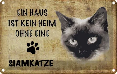 Produktbild von vianmo Blechschild 20x30 cm Siamkatze Katze ohne kein Heim Tier Haustier