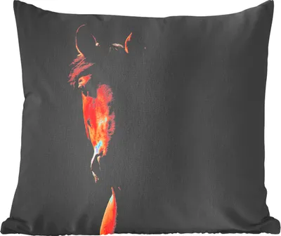Produktbild von MuchoWow® Zierkissen Sofakissen Wohnzimmer Dekokissen 45x45 cm Pferd - Licht - Porträt - Schlafpolster - Polster für das Sofa