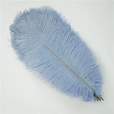 Imagen del producto de Juego de 10 plumas de avestruz de colores para decoración
