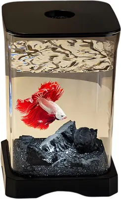 Produktbild von Acryl Aquarium Starterset mit LED – Desktop Fischglas in Schwarz für Büro, Schlafzimmer und Wohnraum