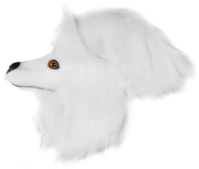 Pudel-Maske Hundekopf Latex Realistisch Vollkopf Halloween Kostüm