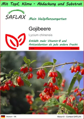 Produktbild von SAFLAX Garden to go - Gojibeere - Lycium chinensis - 200 Samen - Mit Topf, Klima - Deckel und Anzuchtsubstrat