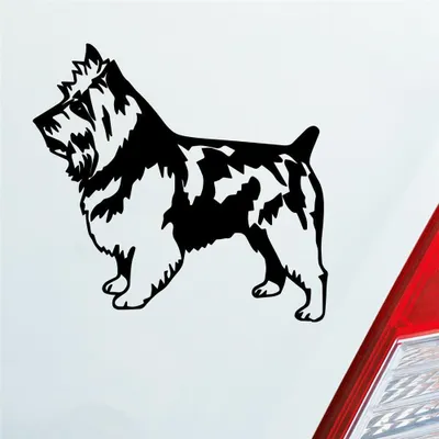 Produktbild von Auto Aufkleber Terrier Tier Hund Dog Animal 11x10 cm Schwarz Glanz Sticker Heckscheibenaufkleber