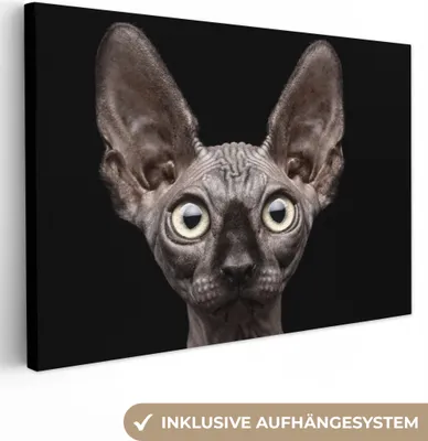 Produktbild von OneMillionCanvasses® - Leinwandbilder - Bild auf Leinwand Wandbild Leinwandbild Katze - Haustiere - Porträt - Schwarz, 60x40 cm, Kunstdruck Wandkunst Gemälde auf Holzrahmen - Segeltuch - Leinwandmalereien