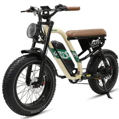 Produktbild von Draixcor W66 E-Bike Trekkingrad 20 Zoll, 648Wh Akku, 250W Heckmotor, 65Nm, bis 100 km, Shimano 7-Gang, Hydraulikbremsen, Bluetooth-App, Beige