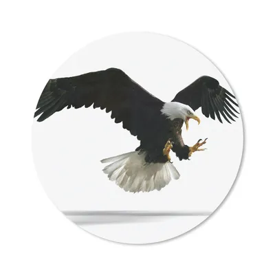Produktbild von MuchoWow® Mauspad Mousepad Adler - Vogel - Weiß 20x20 cm - Mousepads - Maus Mat - Pad - Mausunterlage - Schreibtischmatte