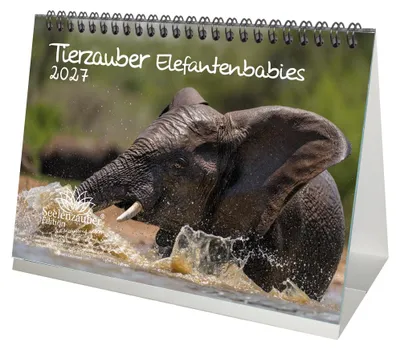 Produktbild von Tierzauber Elefantenbabies DIN A5 Tischkalender für 2027 Elefanten - Seelenzauber