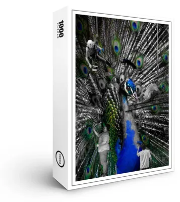 Image de puzzle premium raxxa "Colorie le monde", 1000 pièces
