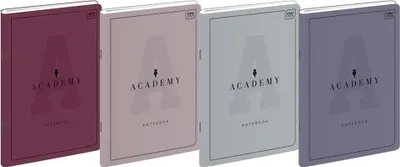 Zdjęcie produktu dla Zeszyt B5/60K kratka Academy (10szt)