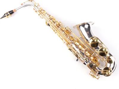Produktbild von Karl Glaser Alt Saxophon versilbert mit Messingklappen inkl. Koffer und Blättchen