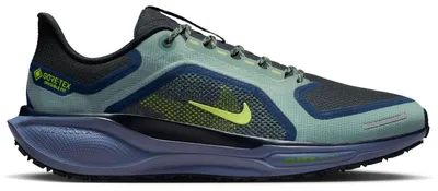 Productafbeelding van Nike Pegasus 41 GTX Hardloopschoenen Heren