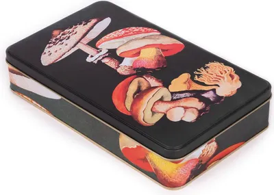 Immagine prodotto di Scatola di latta in metallo con coperchio, scatola di latta artistica nostalgica, scatola di biscotti, scatola per piccoli oggetti - Collezione di erbari (funghi)