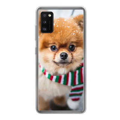 Produktbild von MuchoWow® Handyhülle Schutzhülle Hülle für Samsung Galaxy A41 Hund - Halstuch - Schnee Silikon Softcase Handy Hülle - Mobiltelefon