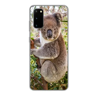 Produktbild von MuchoWow® Handyhülle Schutzhülle Hülle für Samsung Galaxy S20 Koala - Baum - Blätter - Kinder - Jungen - Mädchen Silikon Softcase Handy Hülle - Bild