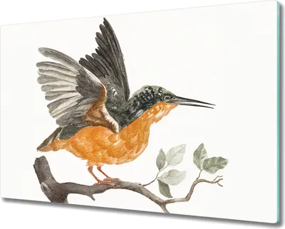 Produktbild von Coloray Herdabdeckplatte 80x52 cm Schneidebrett Kochplattenabdeckung Küchenbrett Hackbrett - Tier Vogel Zweig