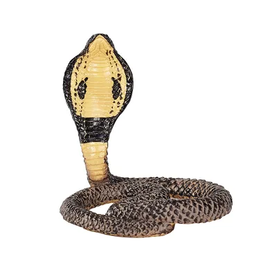 Zdjęcie produktu dla Mojo Fun King Cobra, 3 lat(a), Wildlife, Brązowy, Czarny, Żółty, Polichlorek winylu (PVC)
