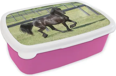 Produktbild von KitchenYeah® Lunchbox Brotzeit Brotdose 17x11 cm Friesisches Pferd im Galopp Kinder Brotzeitdose - Lunchpaket - Brotkasten  - Sandwich Box