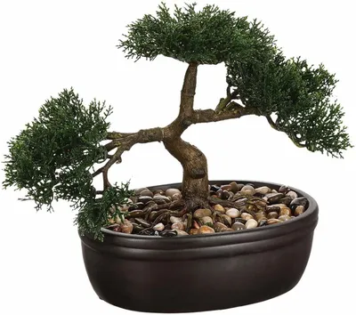 Image de Bonsaï artificiel en pot noir 23 cm